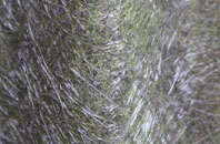 Gate Helmsley fibreglass roof work